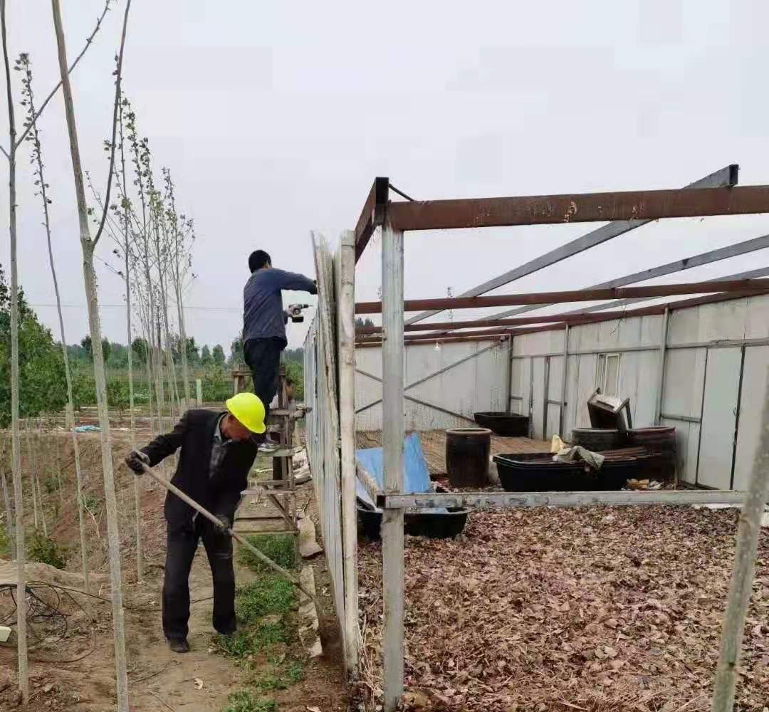 河北沧州:吴桥县正在持续强力开展违法建筑拆除