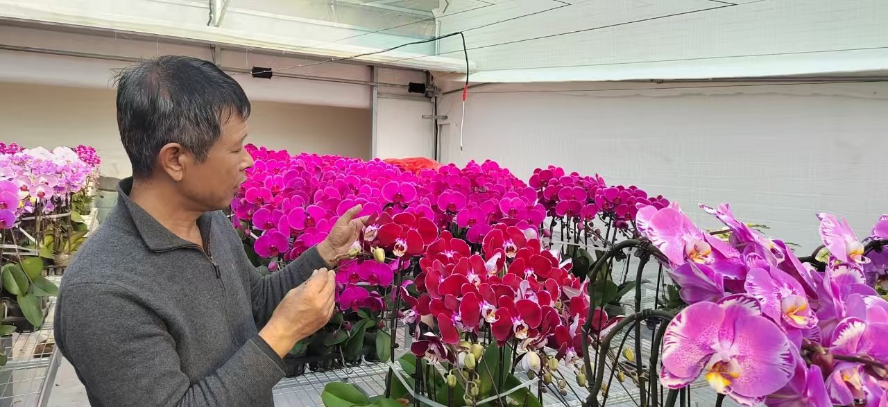 ���δ�ҵ  �ӱ�ʡ��ɽ��һ�ϱ����조��������Ƭ��