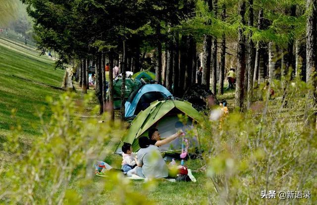 ����������ʼ����һ�𡪡�����������˳�ƶ���