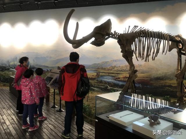 ����������ʼ����һ�𡪡�����������˳�ƶ���