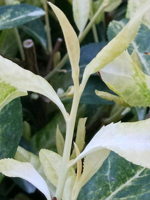 �㽭���£���ϲ�̰ײ� ��Ʈ����Զ