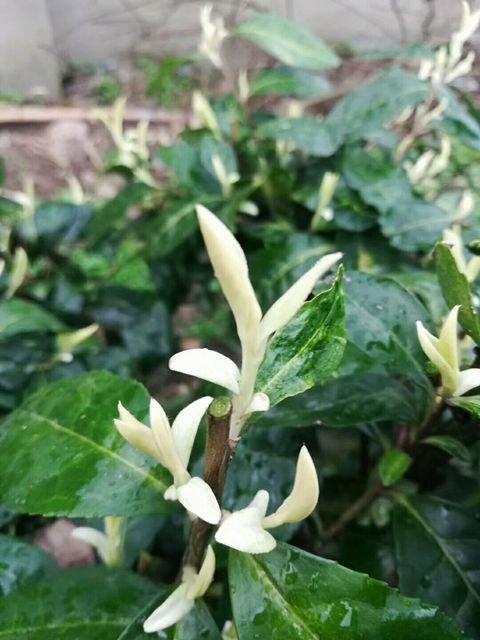 �㽭���£���ϲ�̰ײ� ��Ʈ����Զ