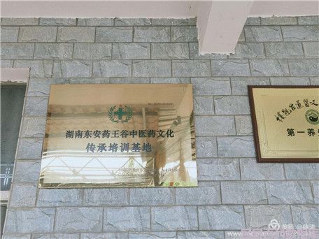 健康中国最美名中医——陈涛(图6) 健康中国最美名中医——陈涛(图6)