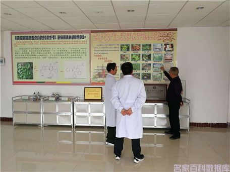 健康中国最美名中医——陈涛(图34) 健康中国最美名中医——陈涛(图34)