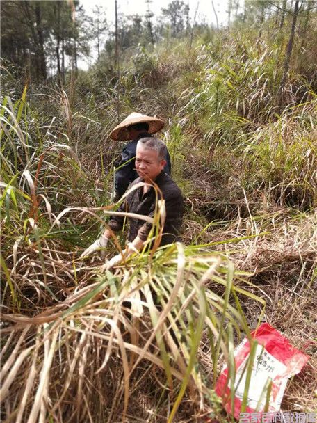健康中国最美名中医——陈涛(图30) 健康中国最美名中医——陈涛(图30)