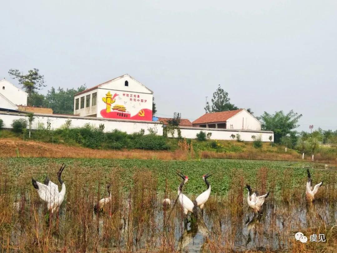 ������������һ��������Т�ƹ���