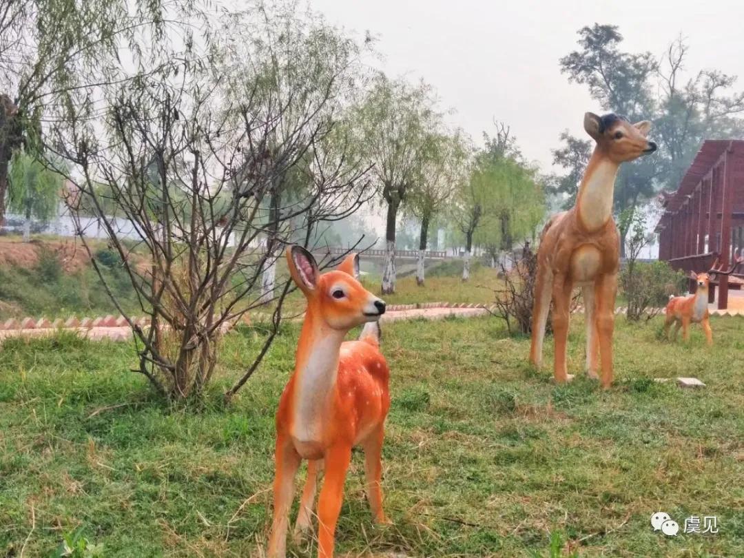 ������������һ��������Т�ƹ���