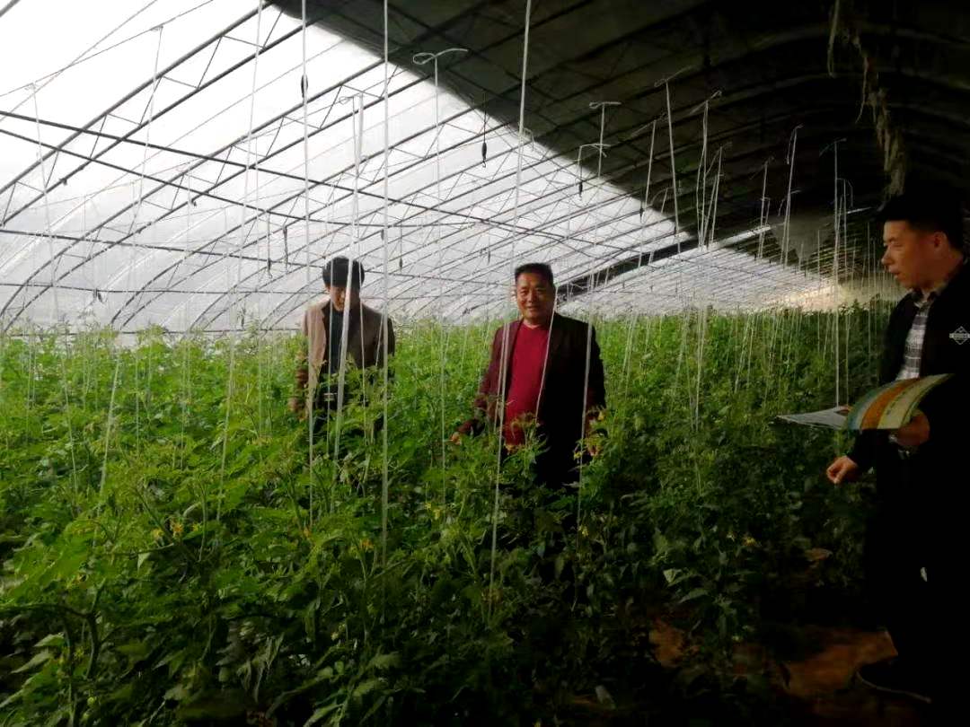 �ӱ����ݣ������ؾ��ÿ�����ǿ���Ƽ�����   ������ƶ����