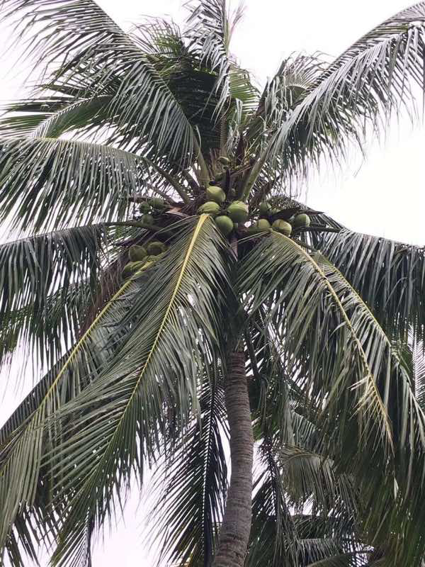 邀请函~文化中国·中国文化进万家优秀传统文化高峰论坛(走进文昌)暨文昌军事题材电影展系列文化活动 邀请函~文化中国·中国文化进万家优秀传统文化高峰论坛(走进文昌)暨文昌军事题材电影展系列文化活动