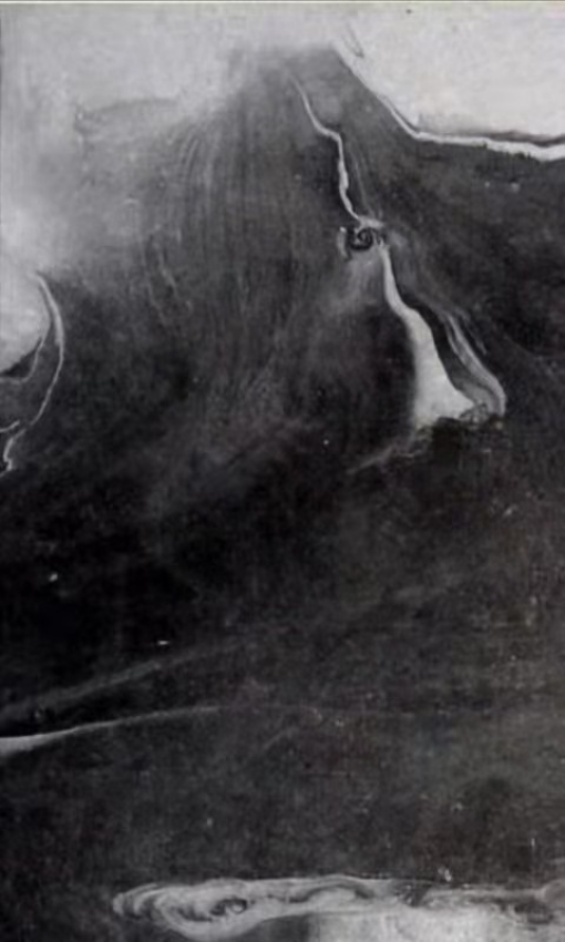 ����������29����Ʒ������ȫ��9��ͼ����ղ�