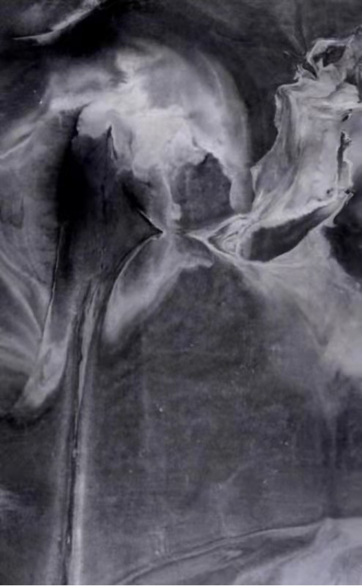 ����������29����Ʒ������ȫ��9��ͼ����ղ�