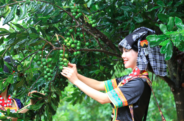 �������£�����ҵ֮���۷�չ֮������ֱ��ɹ��ƶ�ɼ���