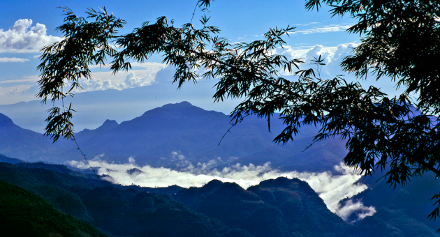 �������£�����ҵ֮���۷�չ֮������ֱ��ɹ��ƶ�ɼ���