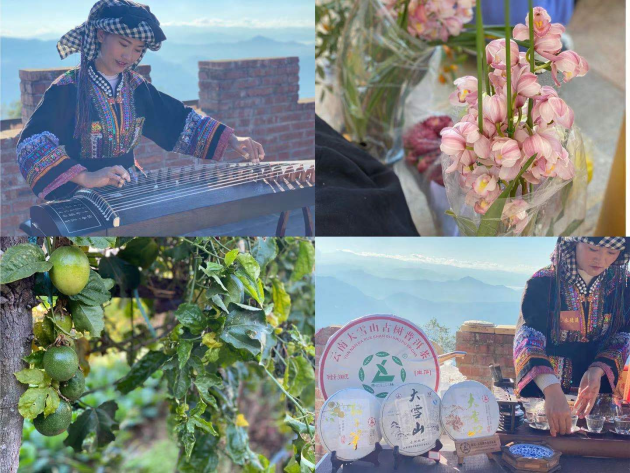 �������£�����ҵ֮���۷�չ֮������ֱ��ɹ��ƶ�ɼ���