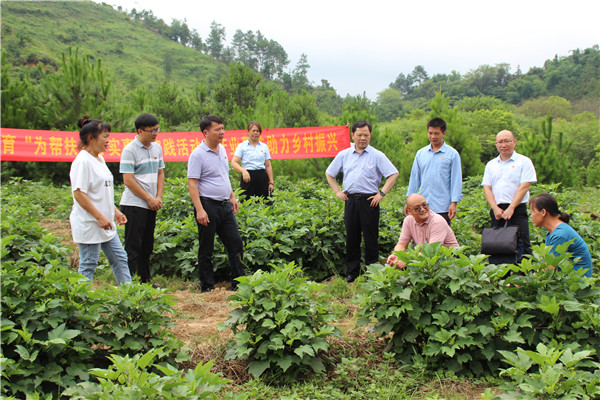 ���Ӹ�У���� ����������� �ƽ���ʷѧϰ����