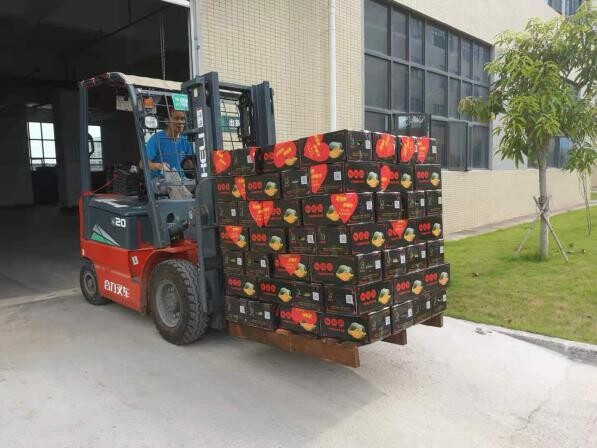 ÷�����˴��������������ҵǣͷ�����������ݿ���