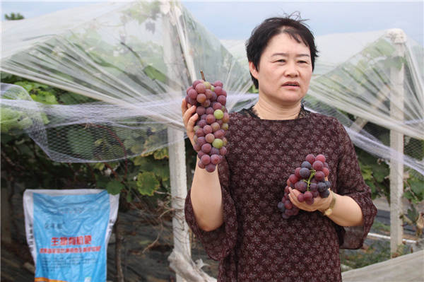 学党史 办实事 助力农业增产农民增收