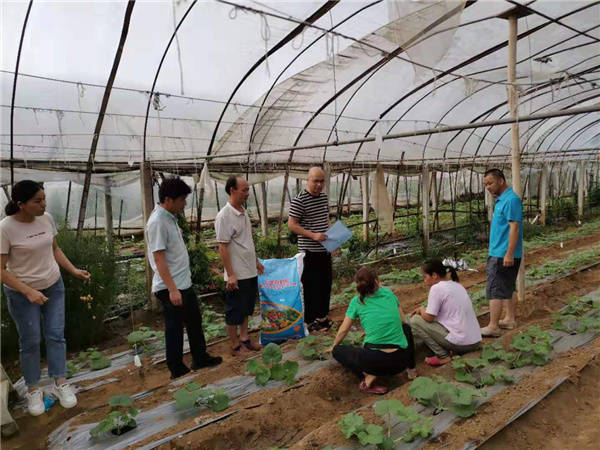 学党史 办实事 助力农业增产农民增收