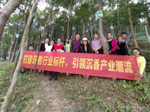 做强做大每好沉香实业 助力乡村振兴健康发展