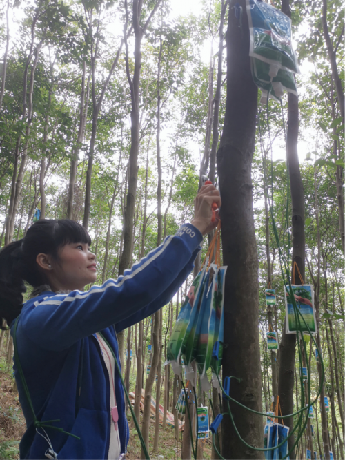做强做大每好沉香实业 助力乡村振兴健康发展