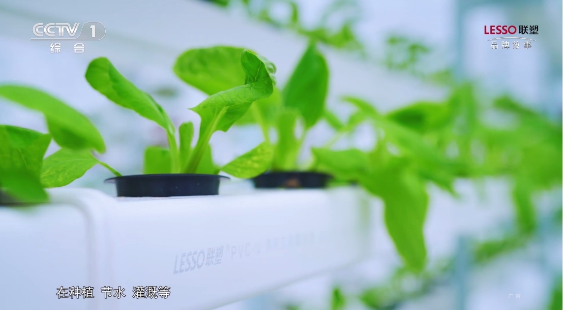 1629942368042056672.jpg 1629942368042056672.jpg