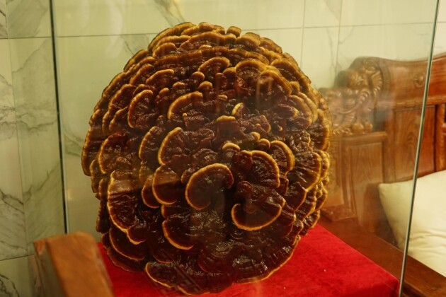 �ð�ڹ��������֥���ػ����������á���֥СԺ�����