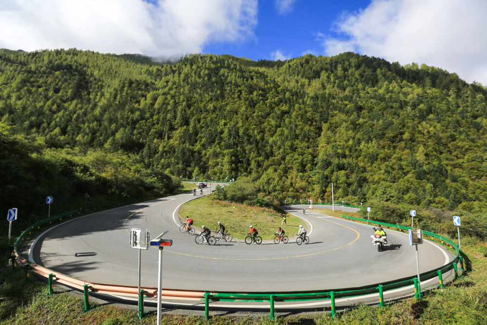 1631347306708501.jpg 8.jpg