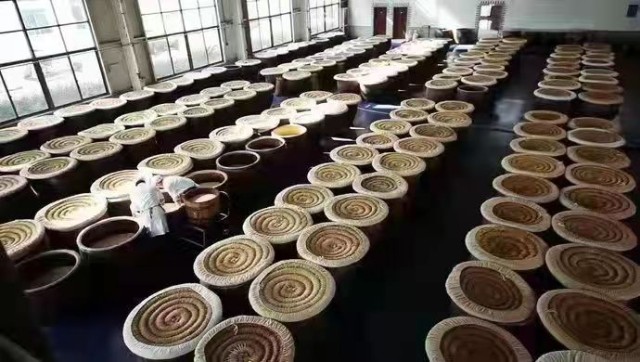 2021νڡĻνڡϺ¡ؿĻ