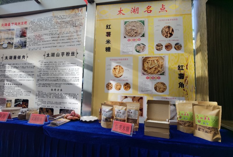 ̫���زμӰ����׽����ְҵ���ܾ����ߡ����֮Դ ���㰲�족չ��