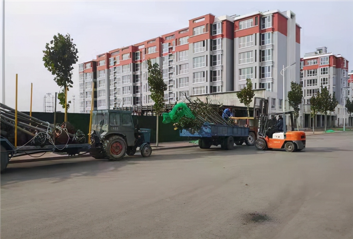 ����ס�����峿�����ڡ���Ԥ������ʱ���ӵ���������