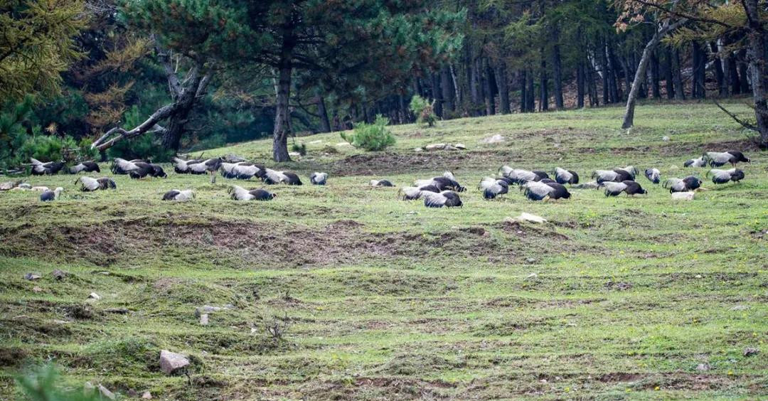 ɽʡ̫ɽֳֹϽƵֺȺӡ䡱ʳ