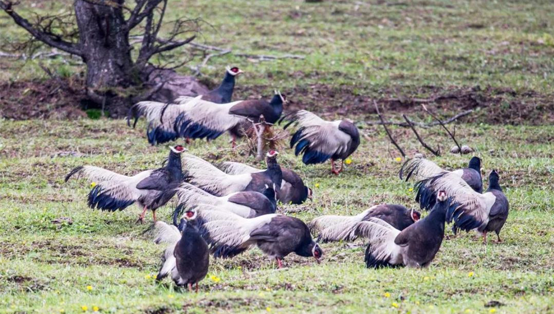 ɽʡ̫ɽֳֹϽƵֺȺӡ䡱ʳ