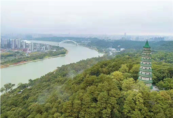 Ҷ�����߳���ʫ10��