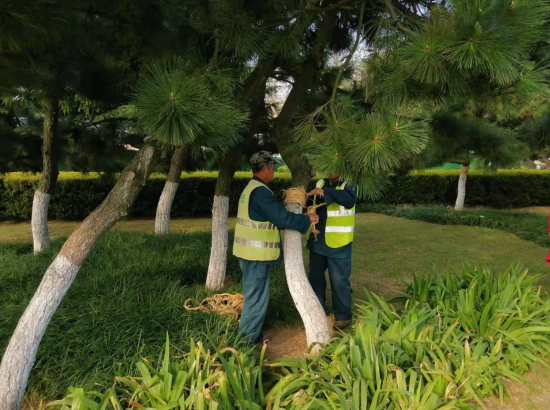 �ൺ��ɽ�������꾰����ľ��ȫ��ů����