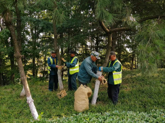 �ൺ��ɽ�������꾰����ľ��ȫ��ů����