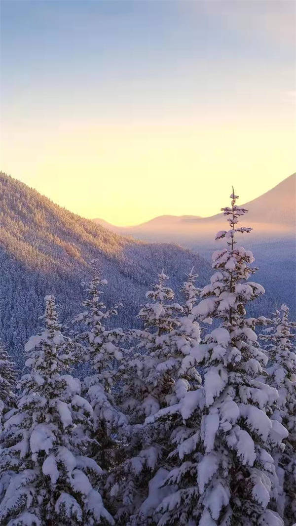 ��������Ʒ���2021�꣬���2022