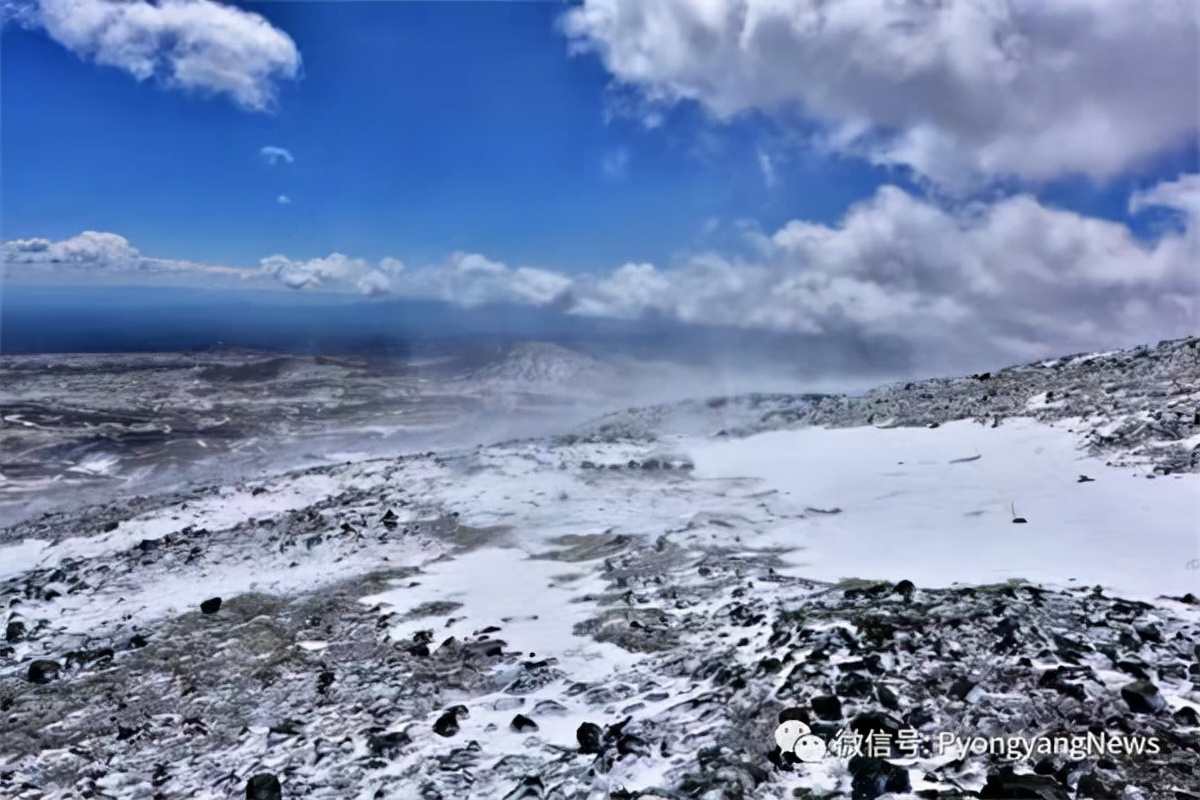 ��������Ʒ���2021�꣬���2022