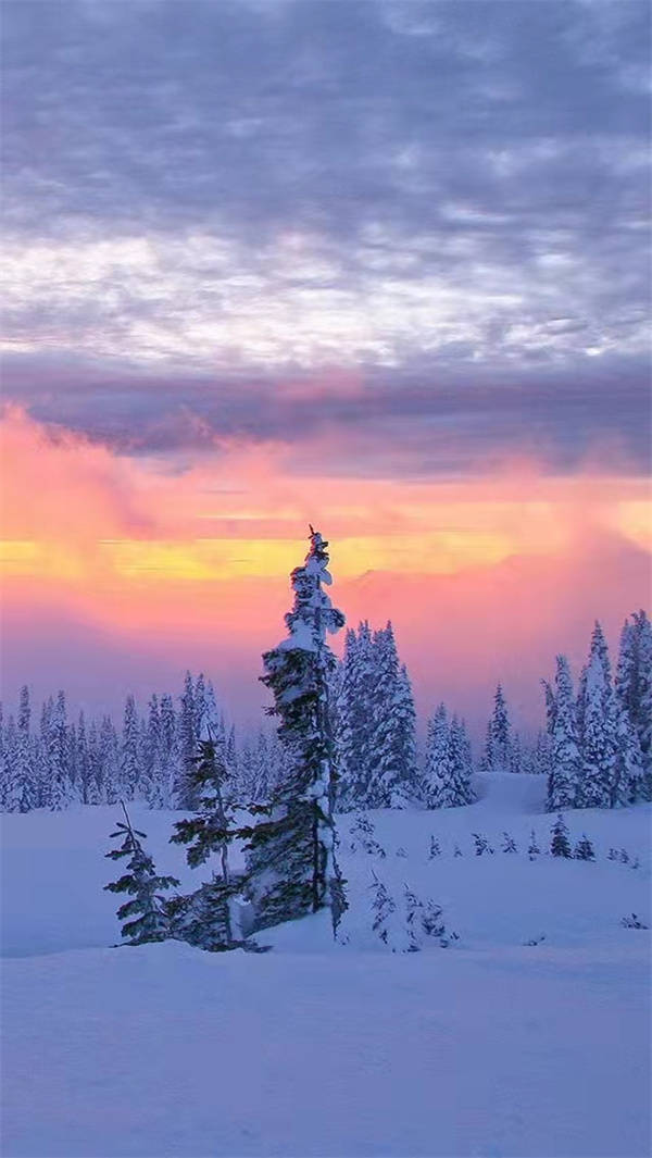 ��������Ʒ���2021�꣬���2022