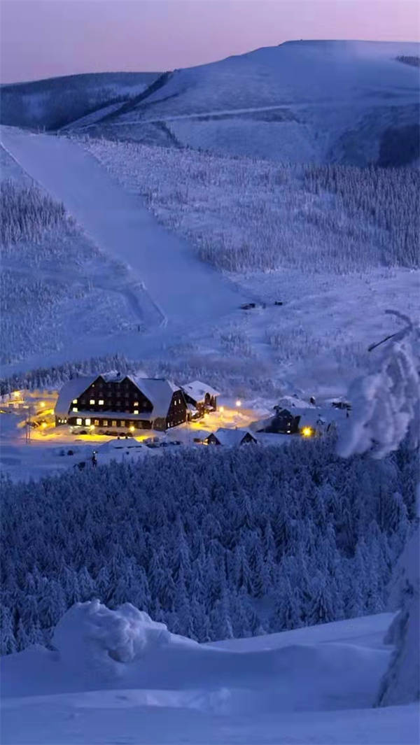 ��������Ʒ���2021�꣬���2022