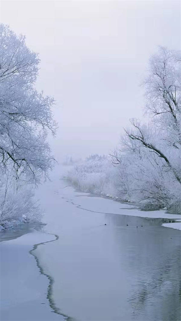 ��������Ʒ���2021�꣬���2022