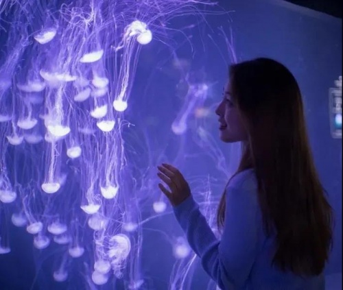 2022�������˽� ��Taһ�����������繲������֮Լ��