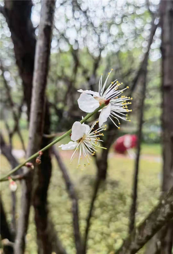 Ҷ������ʦ��Ʒʫ10��