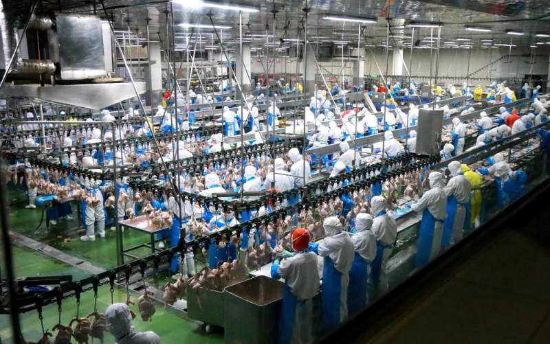 �������ٶ�+�����¶ȡ��ൺ���н��ڳ�Ԯ������ҵ������ͬ����