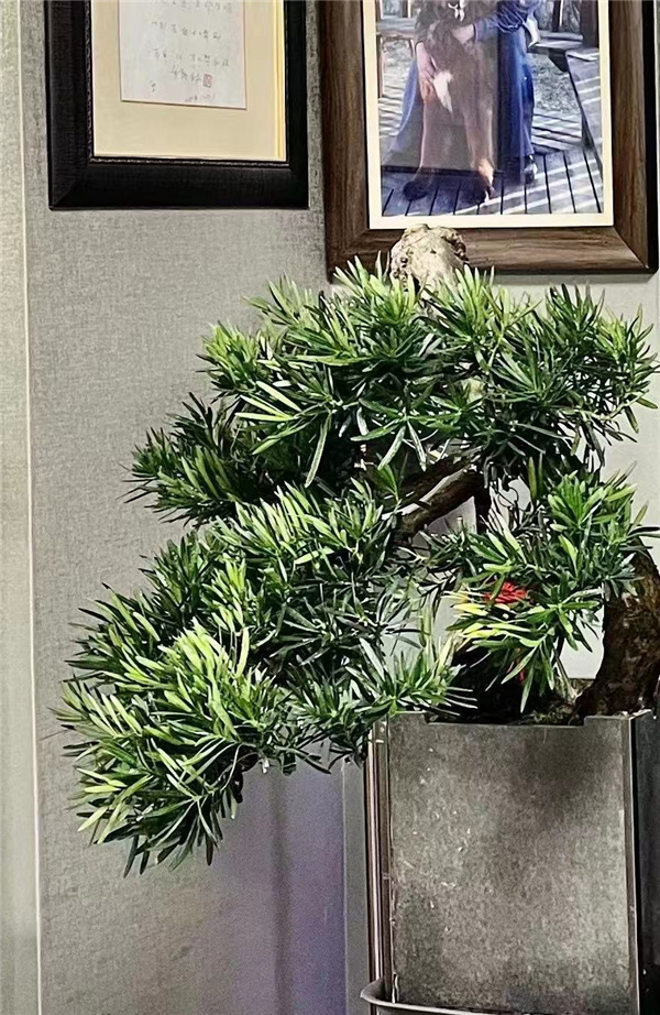 �����ֻ��ǲ� - �й�ͨ�������о���᳤ ��ˮ