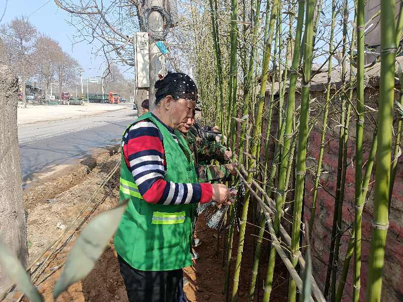 ɽʡƽõ򣺵·̻ʩæ ˾ӻ