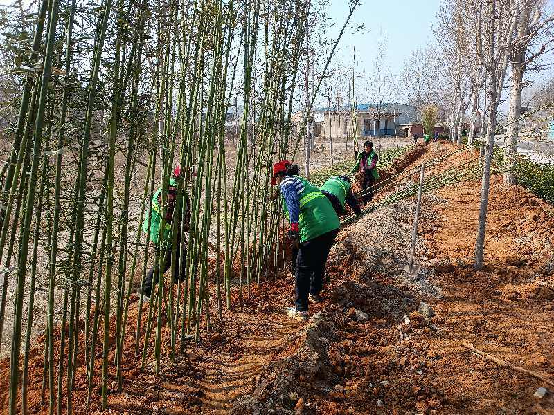 ɽʡƽõ򣺵·̻ʩæ ˾ӻ