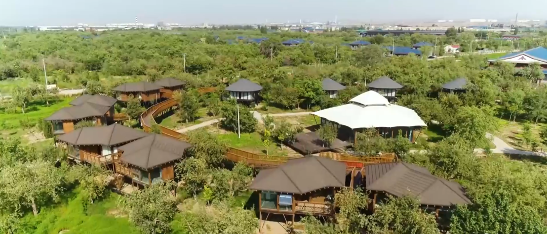 2.3��Ԫ�������طᰲ�����ζȼ�����԰�ؽ����������