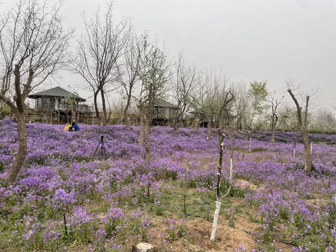 2.3��Ԫ�������طᰲ�����ζȼ�����԰�ؽ����������