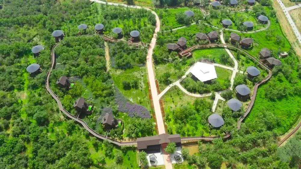 2.3��Ԫ�������طᰲ�����ζȼ�����԰�ؽ����������