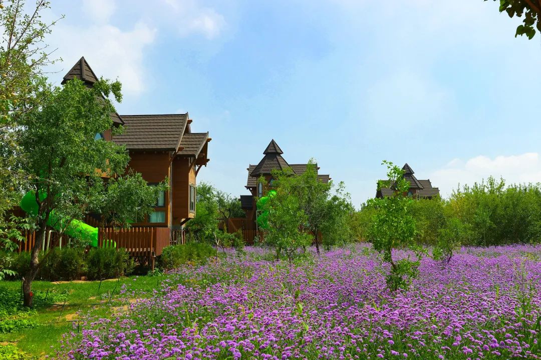 2.3��Ԫ�������طᰲ�����ζȼ�����԰�ؽ����������